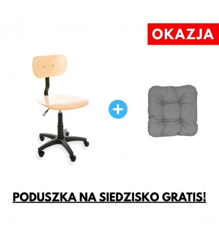 copy of ErgoPlus 02 WH